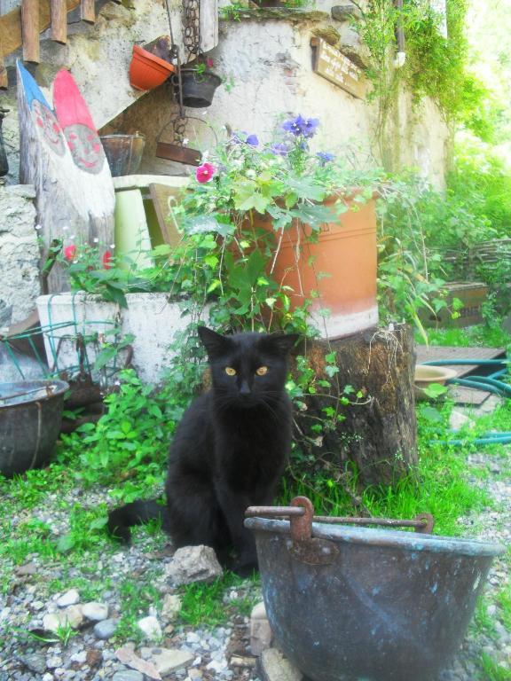 B&B Il Gatto Nero Castelveccana Eksteriør bilde