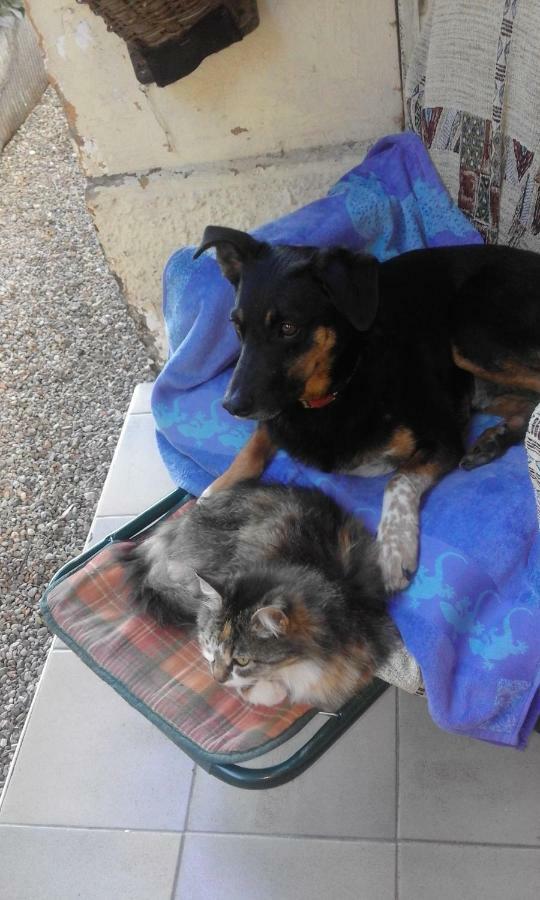 B&B Il Gatto Nero Castelveccana Eksteriør bilde